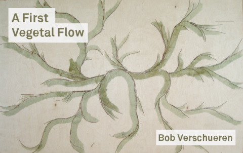 A First Vegetal Flow A First Vegetal Flow