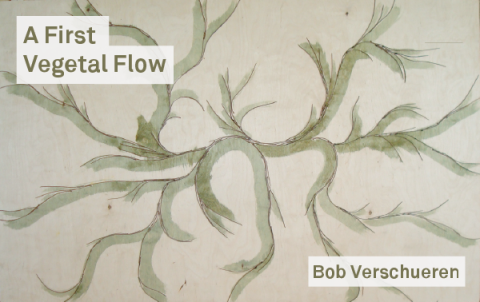 A First Vegetal Flow