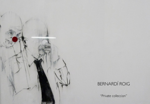 &quot;Private collection&quot; | Bernardí Roig