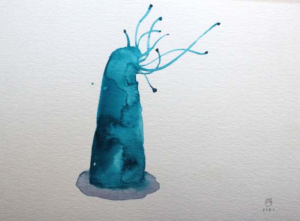 Germinación del agua 7