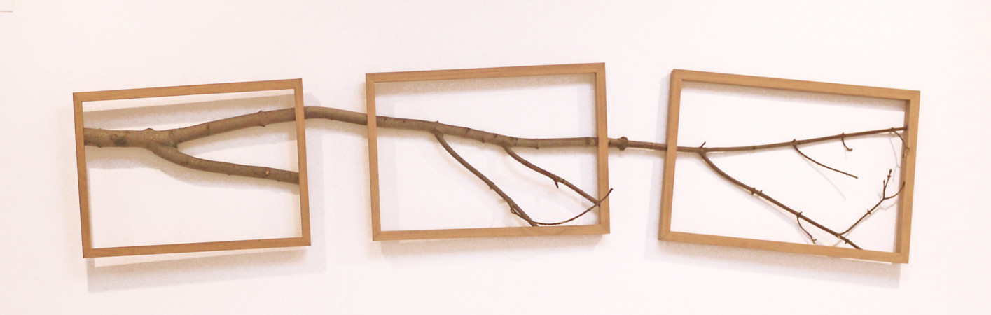 Triple Frame with Branch