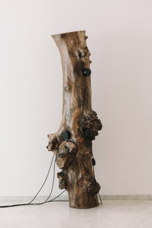 Concerto per natura morta II